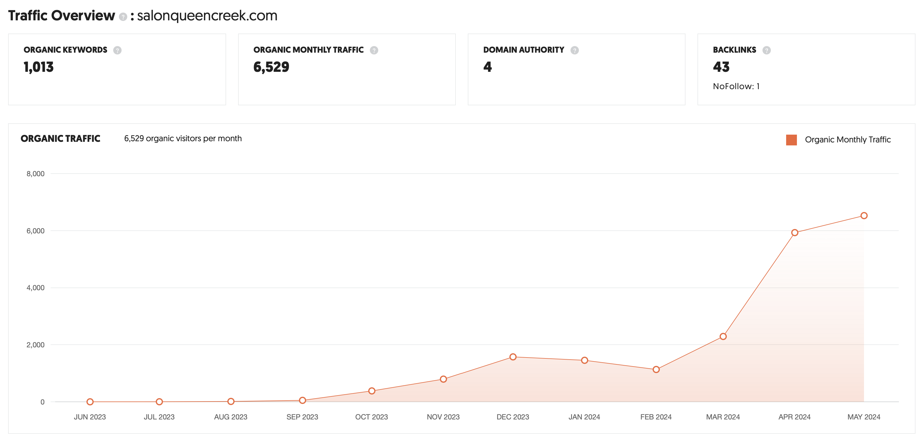 SEO Success Story